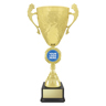 Showdown Cup!