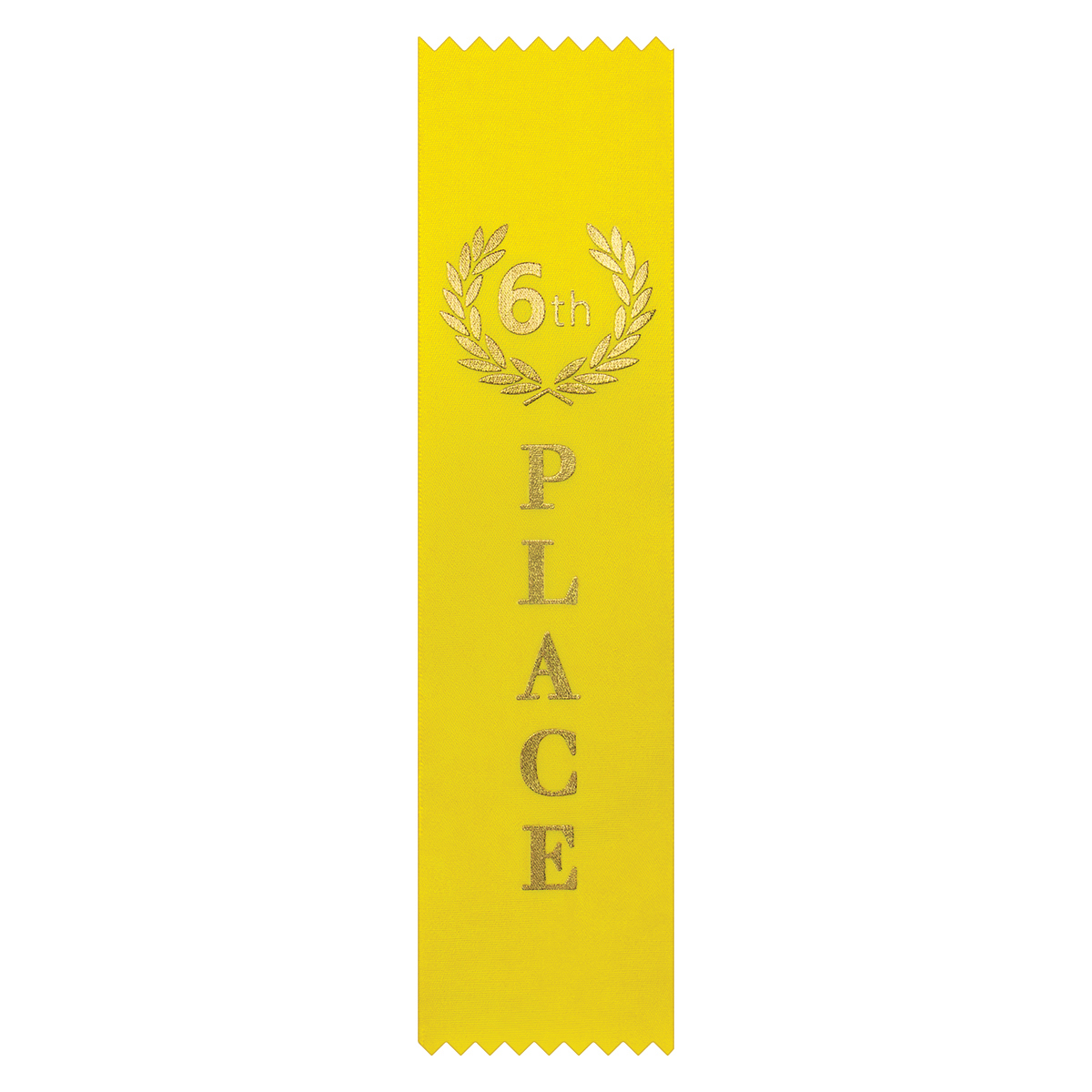 Ribbon - 6th Place