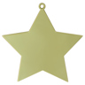 Gold Star Medal