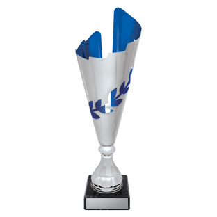 Destiny Cup