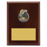 Peak Plaque Fishing