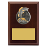 Peak Plaque Fishing