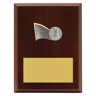 Peak Plaque Volleyball