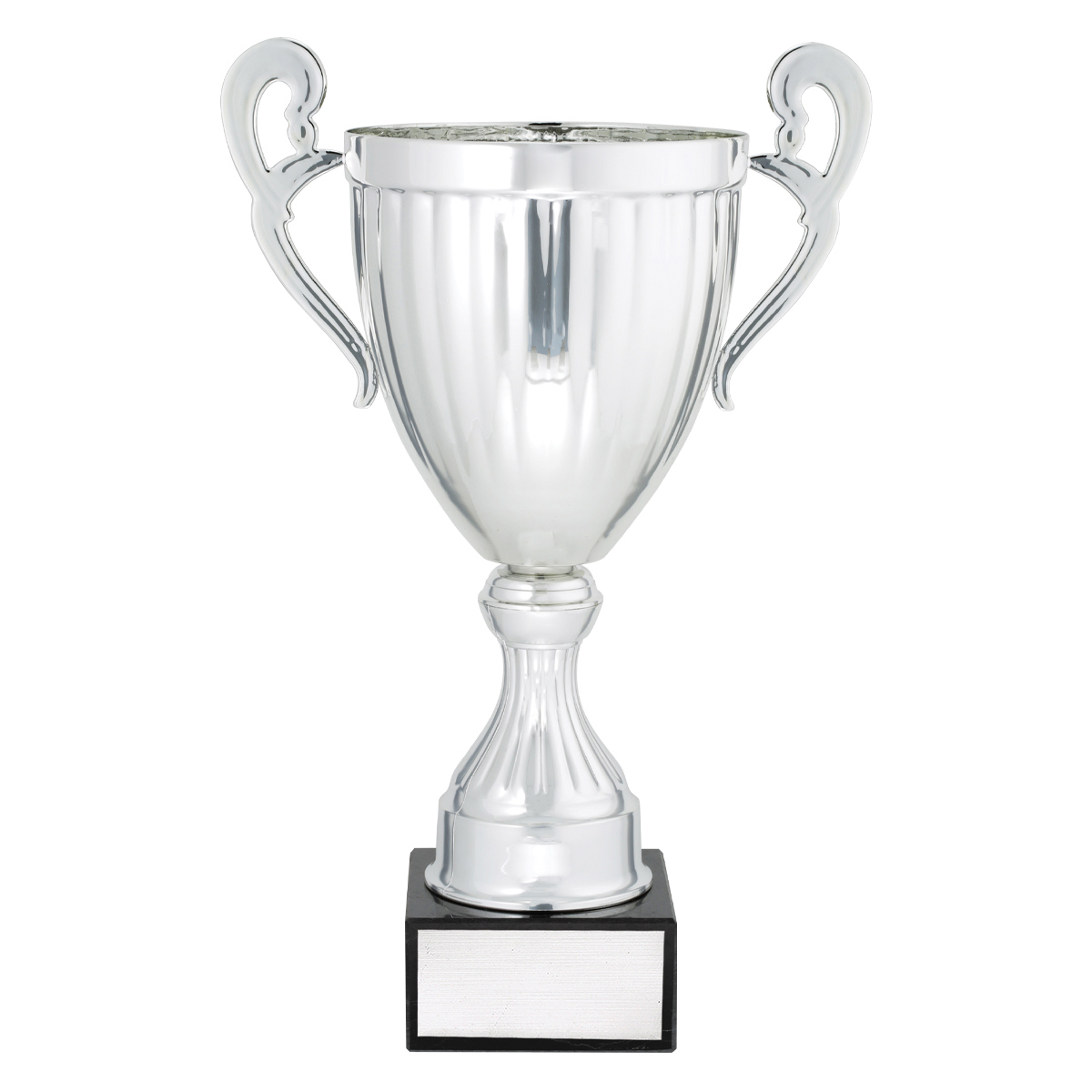 Endeavour - Silver