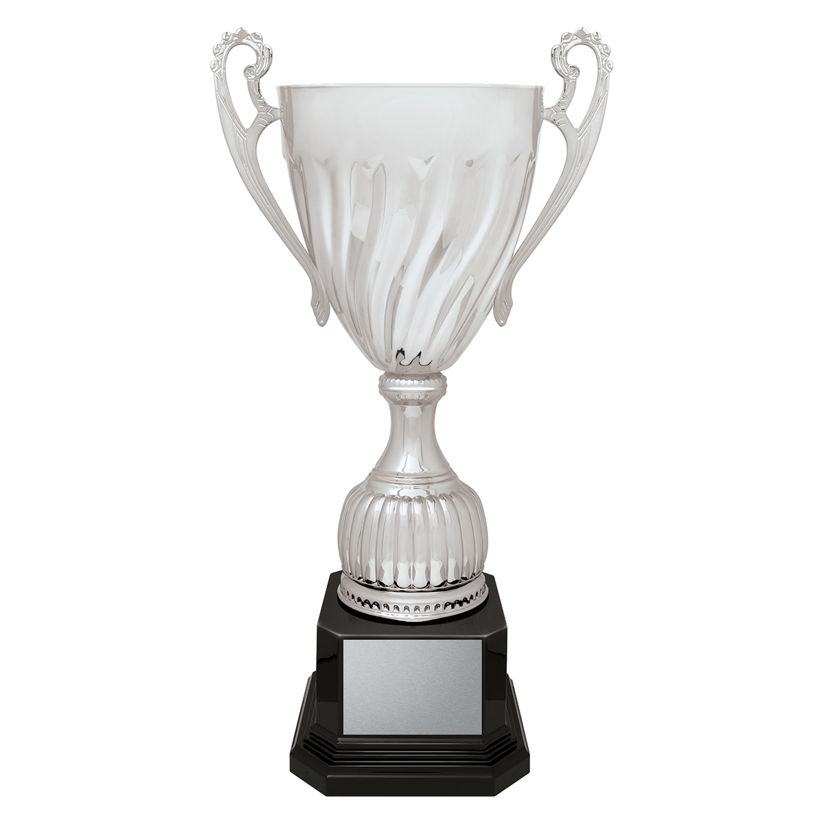 Cruiser Cup - Silver