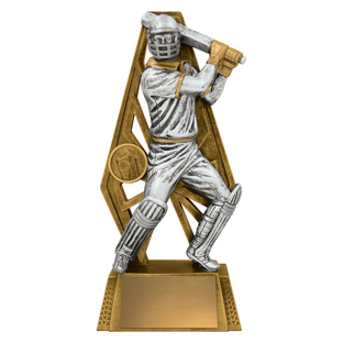 Cyber Batting