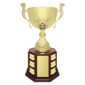 Ensign Cup