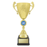 Showdown Cup