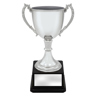Ultimate Silver Cup!