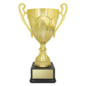 Rubicon Gold Cup!