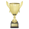 Ironside Cup - Gold!