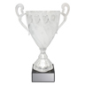 Fidelity Cup - Silver!