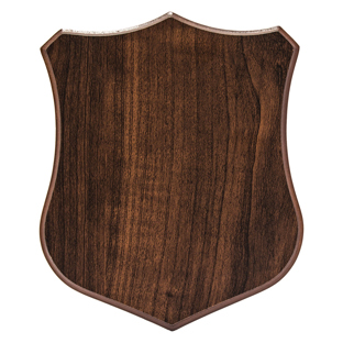 Castle Shield