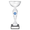 Silver Vector Cup