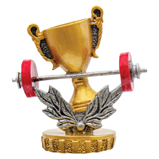 Weightlifting Top