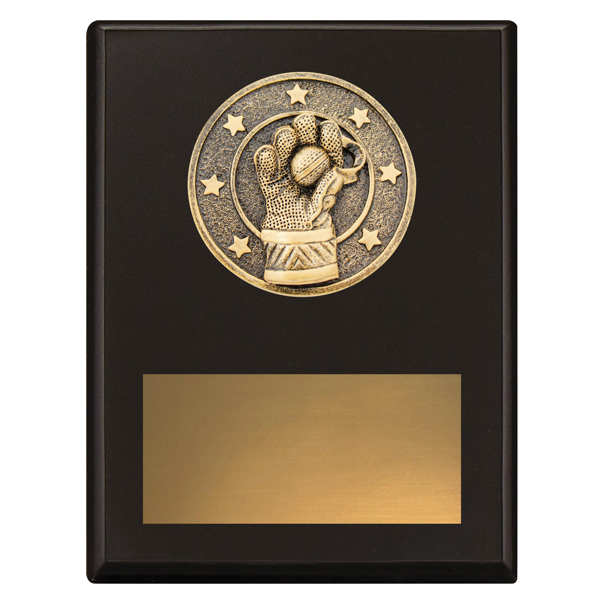 Challenge Plaque - Wicketkeeping