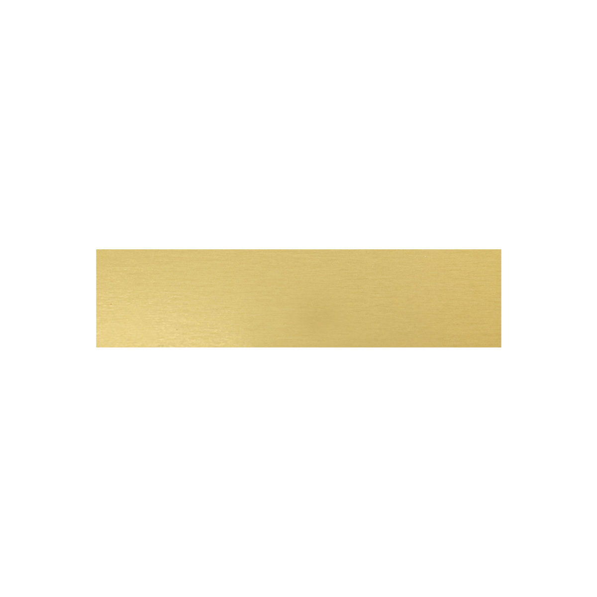 Trophy Plate - 58x14mm