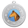 Horse - Starlight