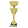 Guardian Cup!