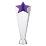 Mega Star - Purple / Silver