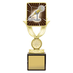 Lynx Sentry - Public Speaking