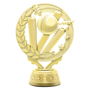 Gold Cricket Torch