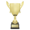 Ironside Cup - Gold!