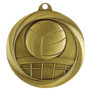 Econo Volleyball