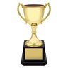 Ultimate Gold Cup!