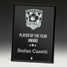Radiant Plaque Black