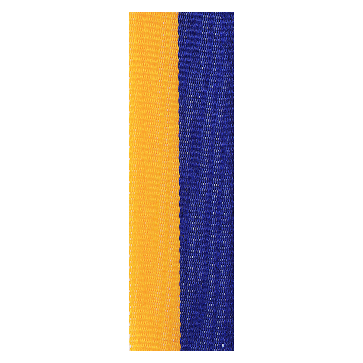 Blue / Gold Ribbon