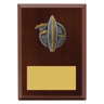 Peak Plaque Surfing