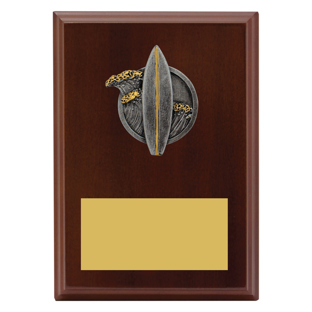 Peak Plaque Surfing