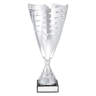 Fiore Cup