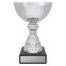 Reverie Cup - Silver!