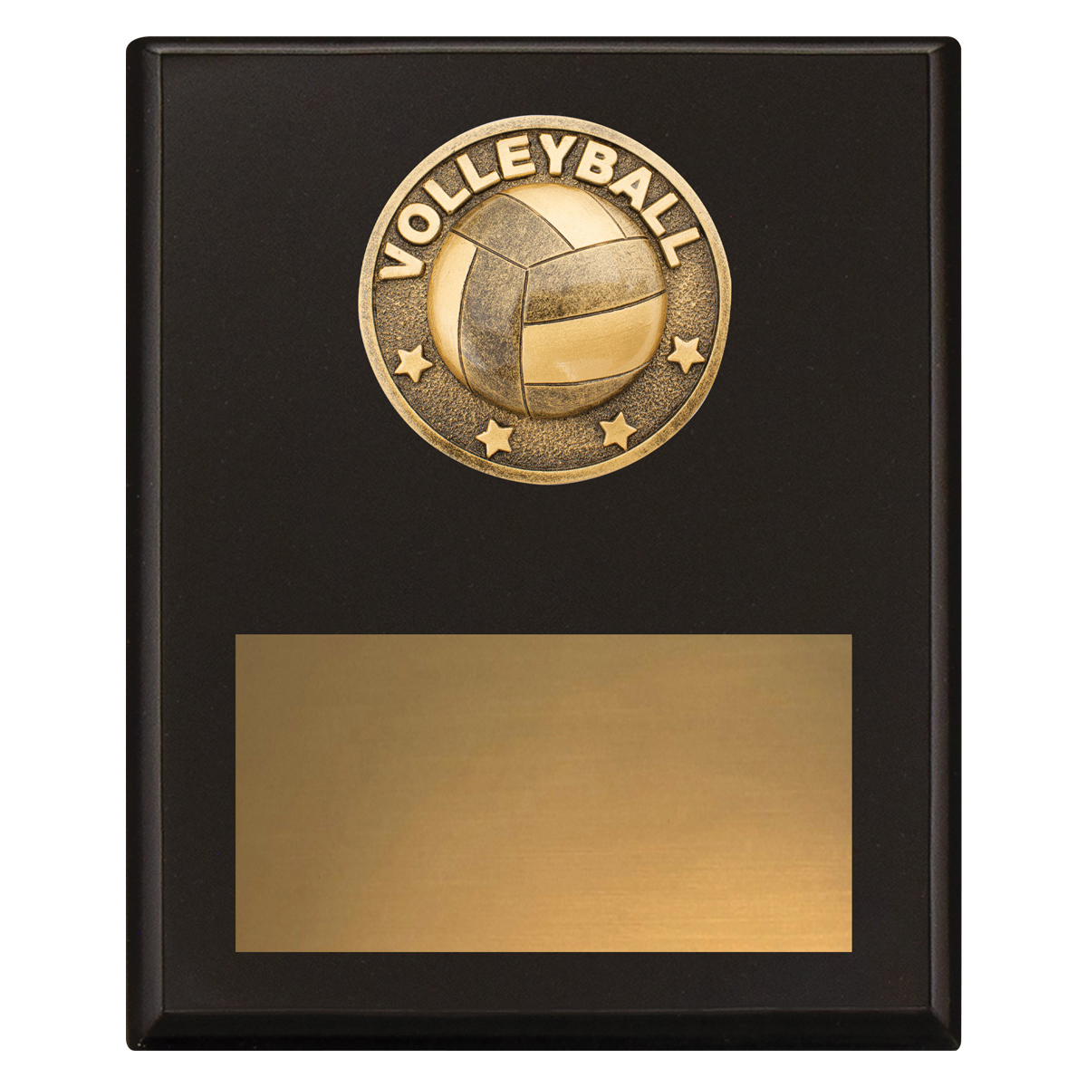 Challenge Plaque - Volleyball