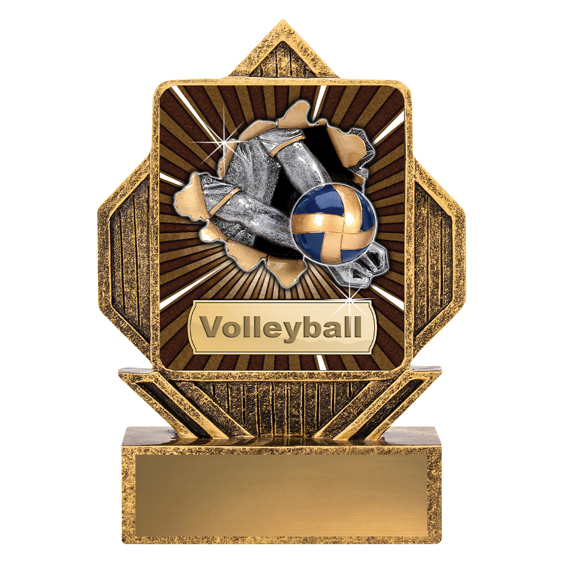 Lynx Arrow - Volleyball!
