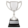 Provenance Cup