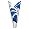 Nova Star Cup - Silver / Blue