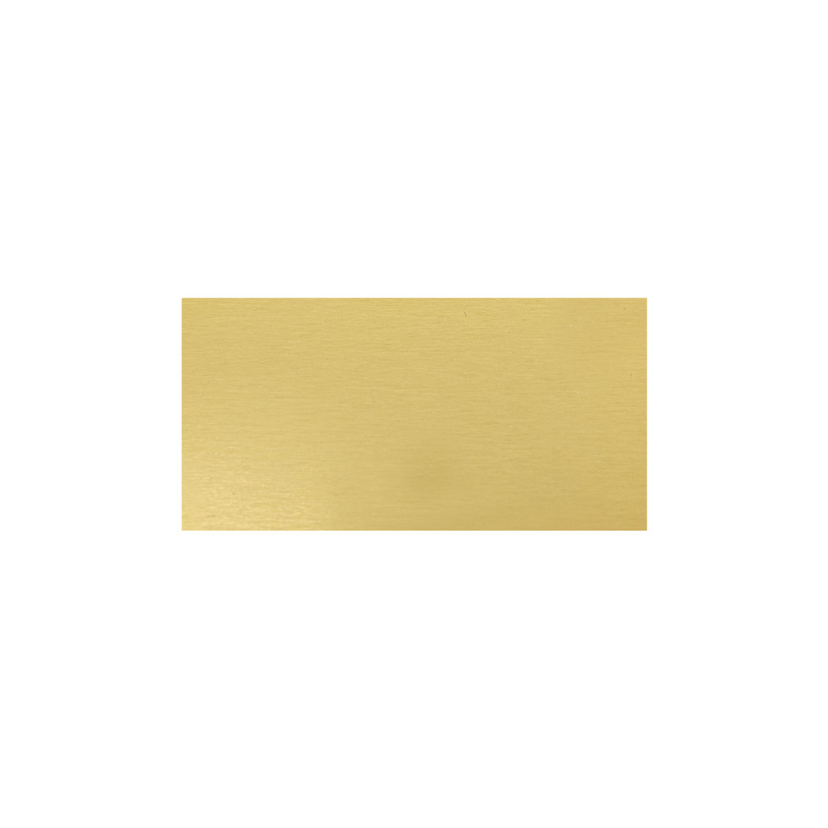 Trophy Plate - 48x24mm