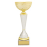 Verona Cup!