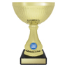 Gold Lucca!