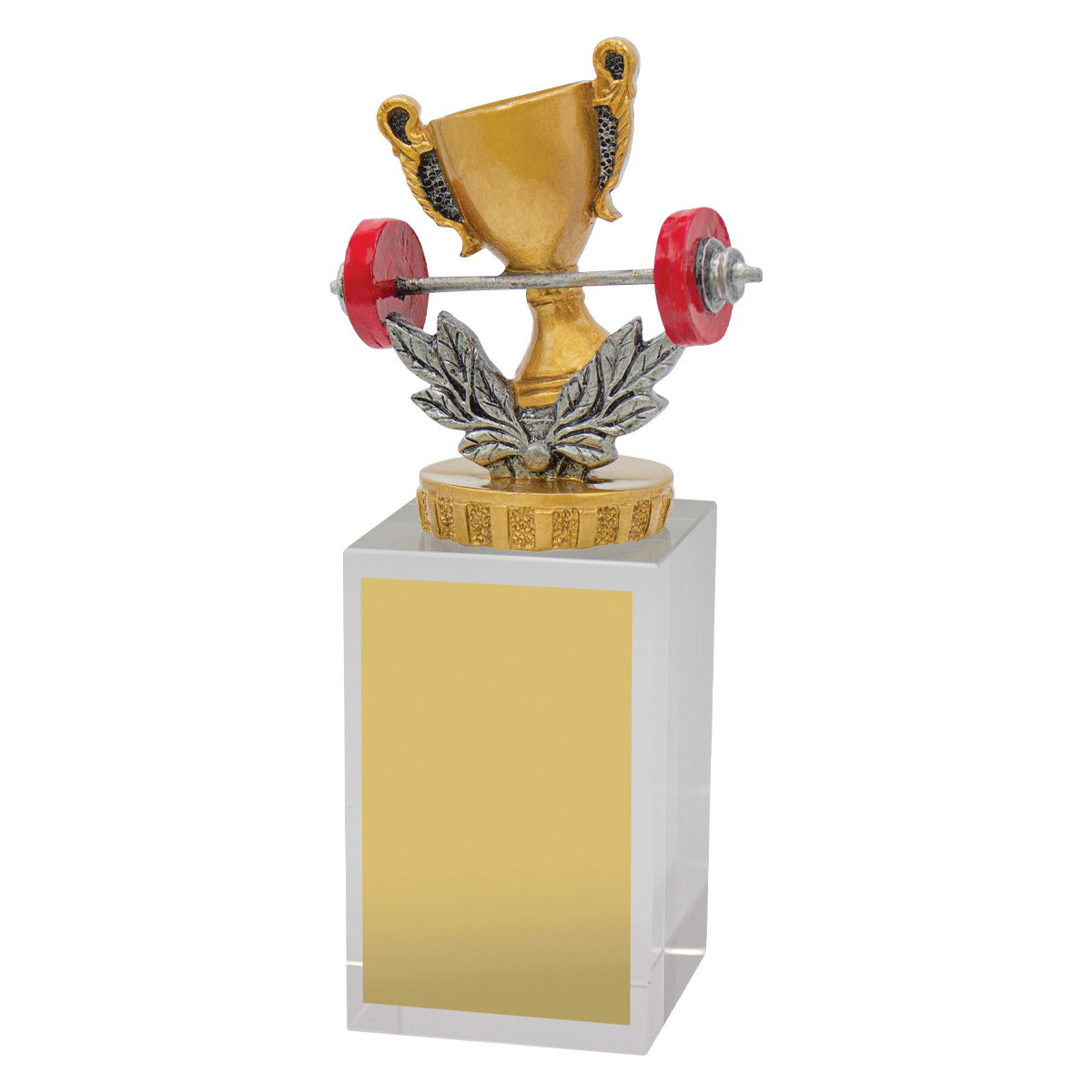 Fitness Budget Crystal