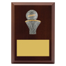 Peak Plaque Netball