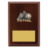 Peak Plaque Futsal