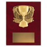 Nova Plaque - Cup