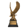 Soaring Success