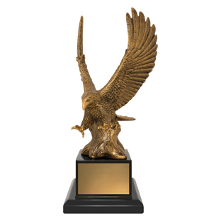 Soaring Success