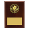 Varsity Plaque - Baseball / Softball
