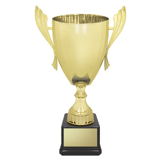 Ironside Cup - Gold!